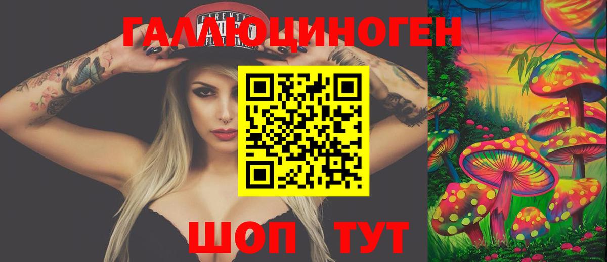Каменка  Галлюциногенные грибы Psilocybine cubensis  Вход с VPN 